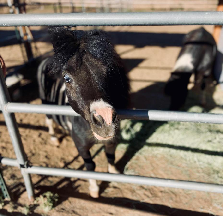 Rustic Farm Stay Temecula Buitenkant foto