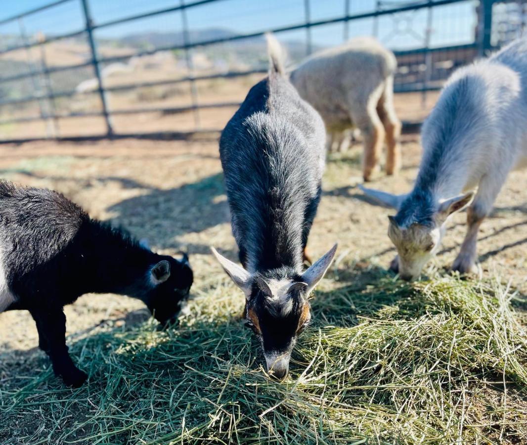 Rustic Farm Stay Temecula Buitenkant foto